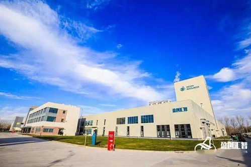 推动塑料循环经济进程 盈创汇智工厂在天津全面开工的技术咨询