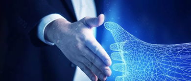 高职新专业 服务民生需求，助力行业升级